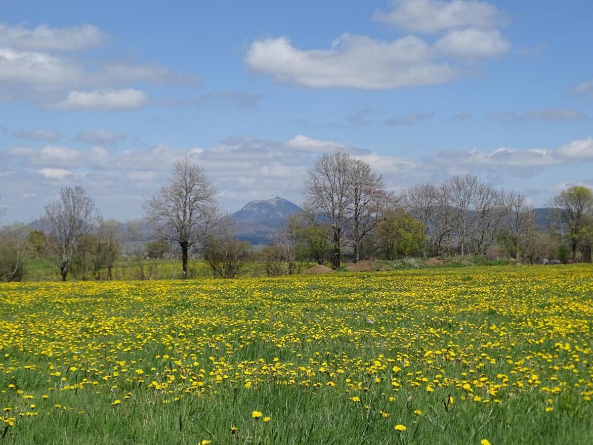 Logis Las Crozas La Poupe Vernines Buitenkant foto